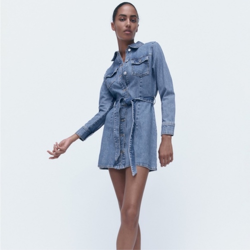 Zara long sleeve button front belted denim dress